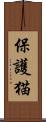 保護猫 Scroll