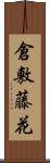 倉敷藤花 Scroll