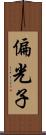 偏光子 Scroll