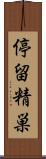 停留精巣 Scroll