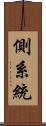側系統 Scroll