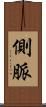側脈 Scroll