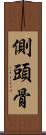 側頭骨 Scroll