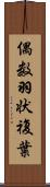 偶数羽状複葉 Scroll