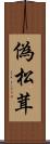 偽松茸 Scroll