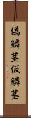 偽鱗茎 Scroll