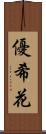 優希花 Scroll