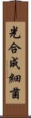 光合成細菌 Scroll