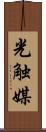 光触媒 Scroll
