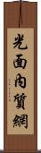 光面內質網 Scroll