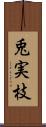 兎実枝 Scroll