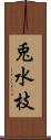 兎水枝 Scroll