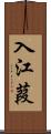 入江葭 Scroll