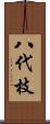 八代枝 Scroll