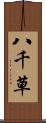 八千草 Scroll