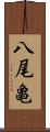 八尾亀 Scroll
