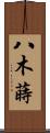 八木蒔 Scroll