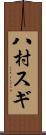 八村スギ Scroll