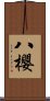 八櫻 Scroll