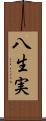 八生実 Scroll