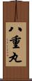 八重丸 Scroll