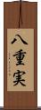 八重実 Scroll