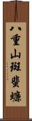 八重山斑蜚蠊 Scroll