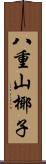 八重山椰子 Scroll