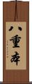 八重本 Scroll