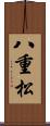 八重松 Scroll