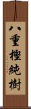 八重樫純樹 Scroll