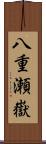 八重瀬嶽 Scroll