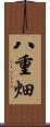 八重畑 Scroll