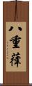 八重葎 Scroll