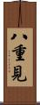 八重見 Scroll