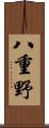 八重野 Scroll