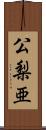 公梨亜 Scroll