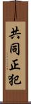 共同正犯 Scroll