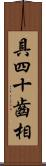 具四十齒相 Scroll