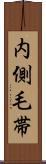 内側毛帯 Scroll