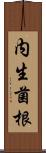 内生菌根 Scroll