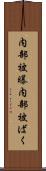 内部被曝 Scroll