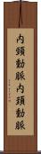 内頸動脈 Scroll