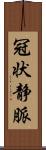 冠状静脈 Scroll