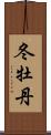 冬牡丹 Scroll