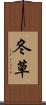 冬草 Scroll