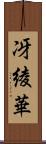 冴綾華 Scroll