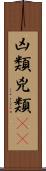 凶類 Scroll