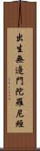 出生無邊門陀羅尼經 Scroll