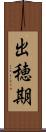 出穂期 Scroll